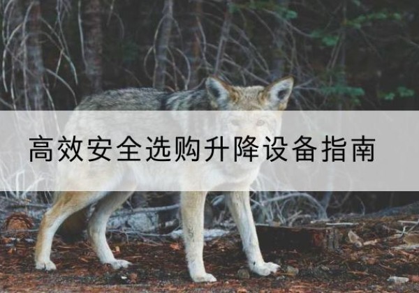 镇江升降货梯厂家推荐-*安全选购升降设备指南