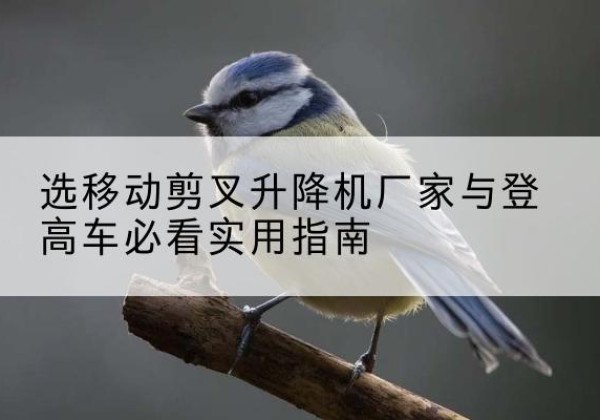 镇江电动升降机厂家-选移动剪叉升降机厂家与登高车必看实用指南