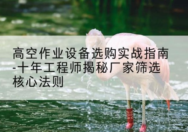 镇江剪叉式升降机厂家-高空作业设备选购实战指南-十年工程师揭秘厂家筛选核心法则